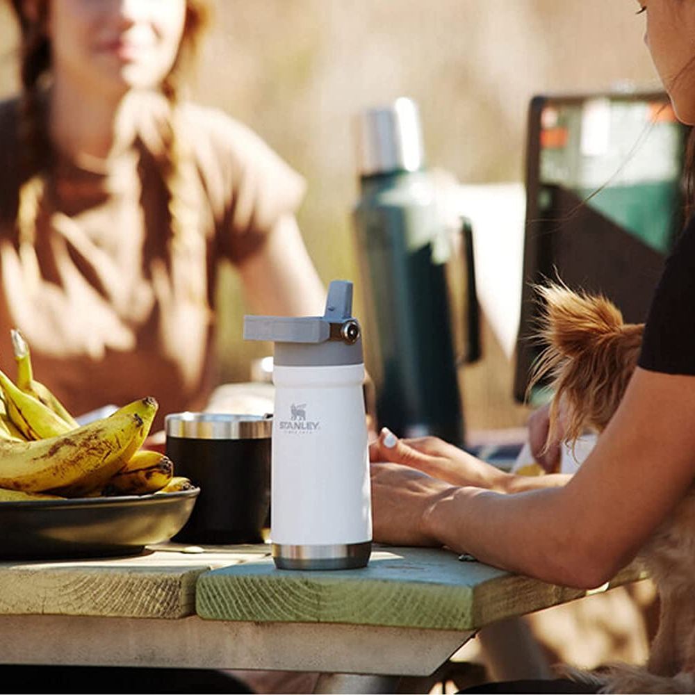 Two women and a dog sitting at a picnic table with bananaa and a white stanley iceflow tumber