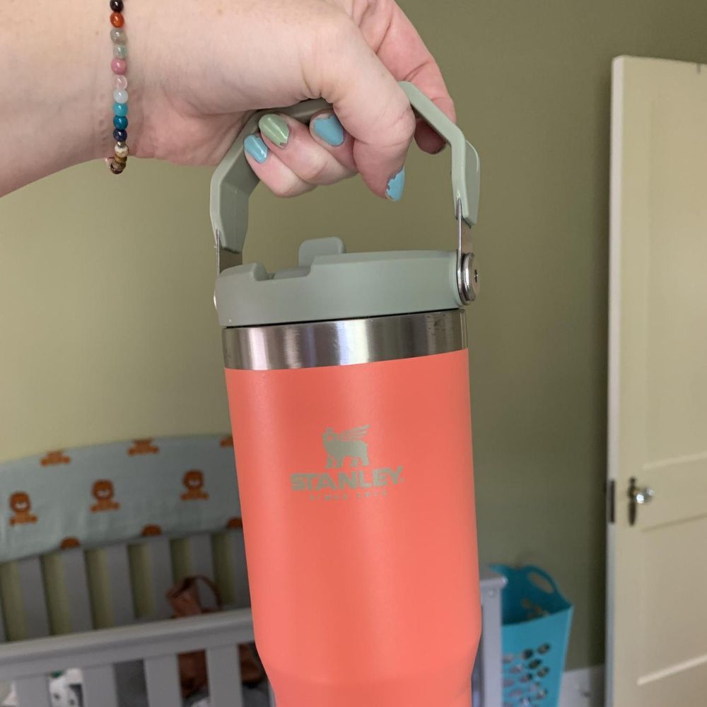 Why Our Editors Love the Stanley IceFlow Flip Straw Tumbler: Tried & Tested