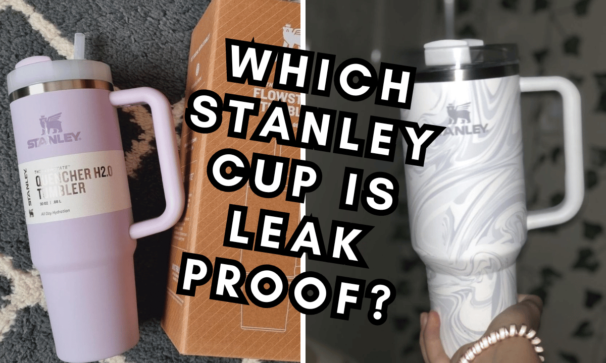 Comparison Review: Stanley 40oz Travel Tumbler vs Yeti Rambler 35oz Mug  with Straw Lid - Elle Blogs